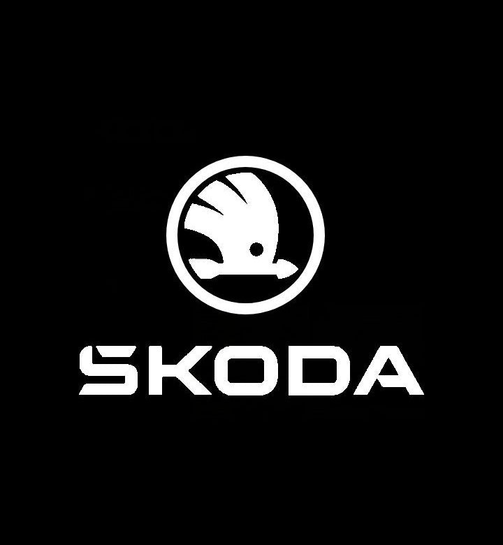 Skoda Светлини